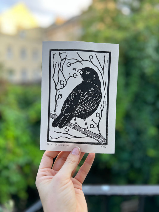 Blackbird Card